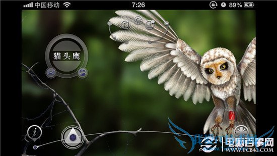 欢度六一儿童节 这个节日值得你拥有的10款App