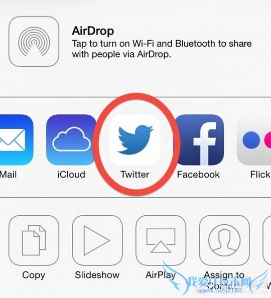 iOS7 Beta5 Twitterͼ