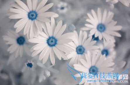 安卓手机常见问题解答锦集