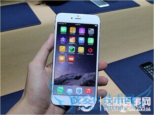 iPhone6/Plus/5c/5sĸãַӾ˭
