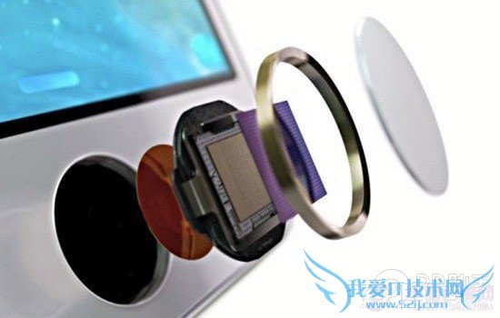 iPhone5s Galaxy S5߱11¹