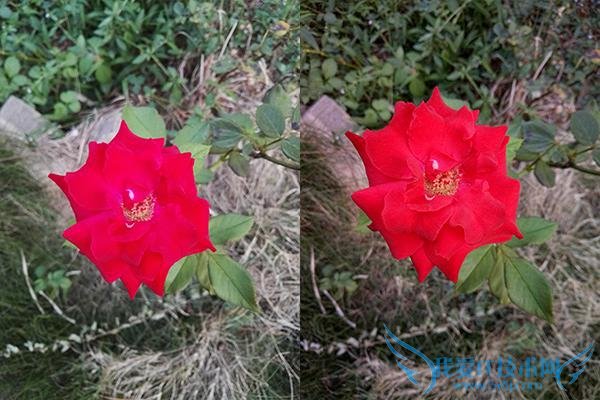 OPPO R7 PlusͻΪP8ĸãOPPO R7 PlusͻΪP8Ա