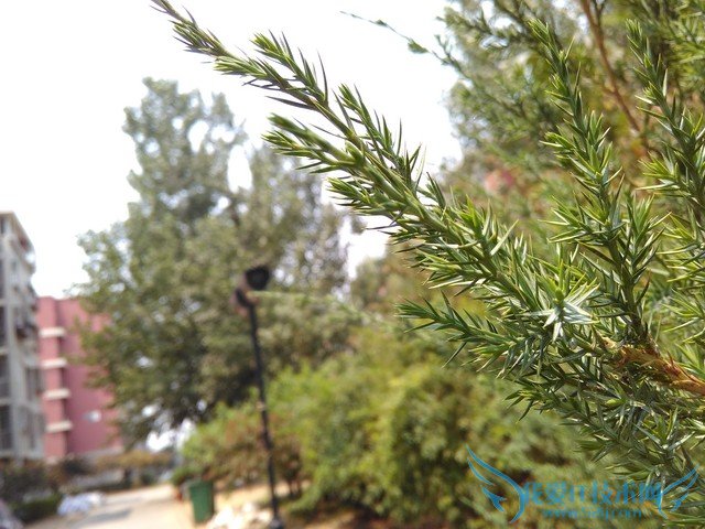 ôô3Sͺ2ĸ TCLôô3SԱȺ2ǿ