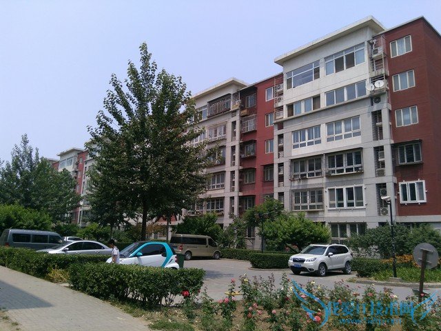 ôô3Sͺ2ĸ TCLôô3SԱȺ2ǿ