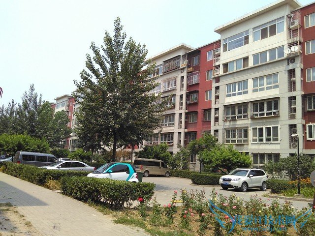 ôô3Sͺ2ĸ TCLôô3SԱȺ2ǿ