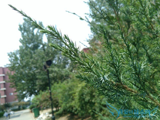 ôô3Sͺ2ĸ TCLôô3SԱȺ2ǿ