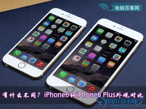 ʲôͬiPhone6iPhone6 Plus۶Ա