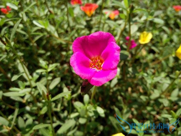 콢ĶԾ һֻ2ҫ7նԱ