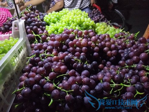 魅族MX5和一加2拍照哪个好 一加2与魅族MX5拍照对比