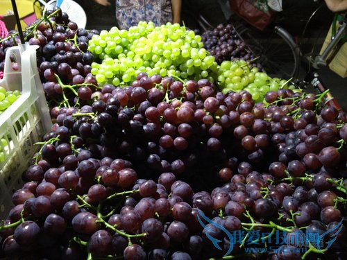 魅族MX5和一加2拍照哪个好 一加2与魅族MX5拍照对比