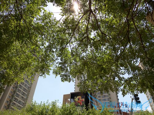 魅族MX5和一加2拍照哪个好 一加2与魅族MX5拍照对比