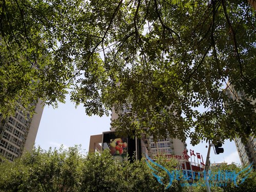 魅族MX5和一加2拍照哪个好 一加2与魅族MX5拍照对比