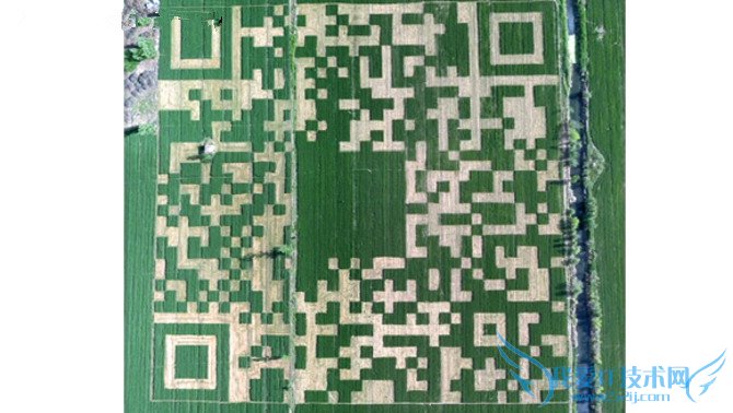 路边的野码扫不扫?你绝不知道的二维码