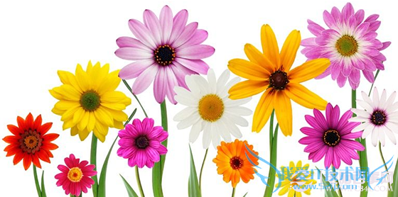 什么是HDR 拍照时何时需要到HDR