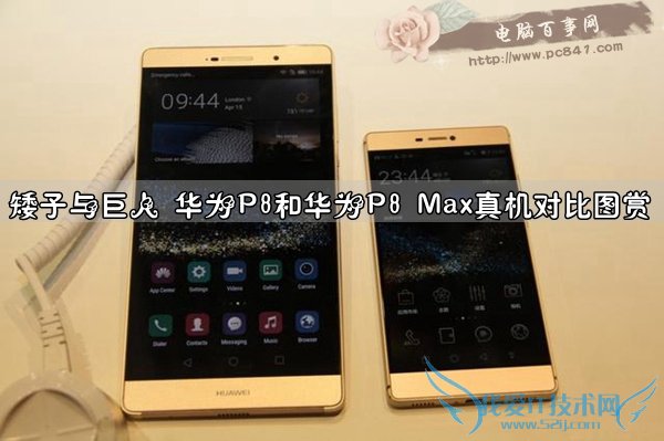 矮子与巨人 华为P8和华为P8 Max真机对比图赏