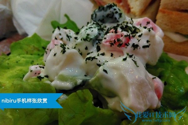 nibiru H1室内拍照样张图