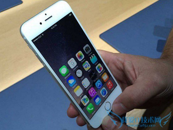 iPhone6 Plus iPhone6 Plusȱ