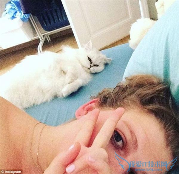 18 ģ ǰѼ˿ķӦʵûڲ