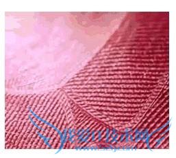 ° 100 Ԫ 11.12  ʵͼ 8 α