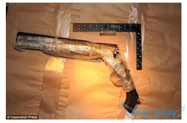 iPhone5c ӵǹ ȴѰŵǿһ