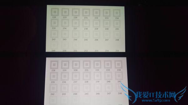 Nexus 5X سֻ ȸŵ֤