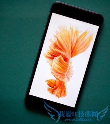 iPhone7 发布日期曝光提前两月 iPhone5e/Apple Watch2 三月齐发布