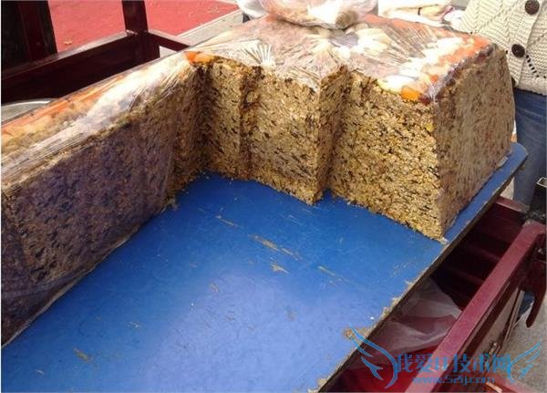 SUV ви⳵ 6 ôҪи