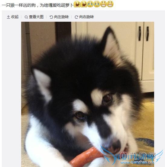 Ҷ诶ҧҲ̶ãһֻҧĹ