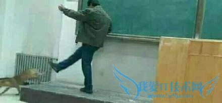 ѾͷһȦһֻɫСڸʱͻȻ߽ңտʼһڷܺѧӣŸʦĳѧλû˾ſһ˯ˣ˯ûͦأǵʦʮֲˣֱӱһ߳ңϲ䱯磬Ϸ“ת”