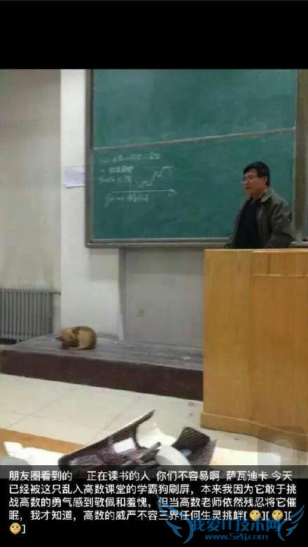 ѾͷһȦһֻɫСڸʱͻȻ߽ңտʼһڷܺѧӣŸʦĳѧλû˾ſһ˯ˣ˯ûͦأǵʦʮֲˣֱӱһ߳ңϲ䱯磬Ϸ“ת”