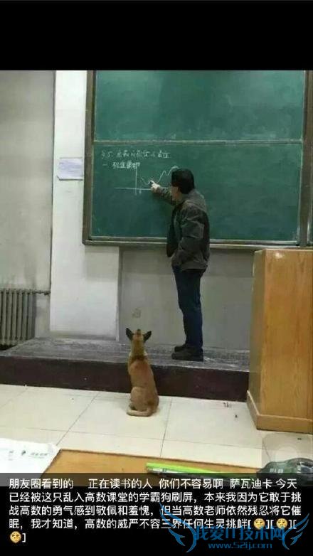 ѾͷһȦһֻɫСڸʱͻȻ߽ңտʼһڷܺѧӣŸʦĳѧλû˾ſһ˯ˣ˯ûͦأǵʦʮֲˣֱӱһ߳ңϲ䱯磬Ϸ“ת”