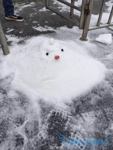 今天一早,就有很多广州网友在微博、朋友圈晒图,称广州下雪了,冷风冷雨中,小小的冰粒打在身上,会弹起来,车窗上也积满了碎冰。