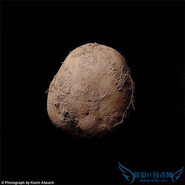 “ÍÁ¶¹Ð´ÕæÕÕ”Âô³ö 700 ÍòÌì¼Û ÉãӰʦ¾¹È»ÊÇËû……