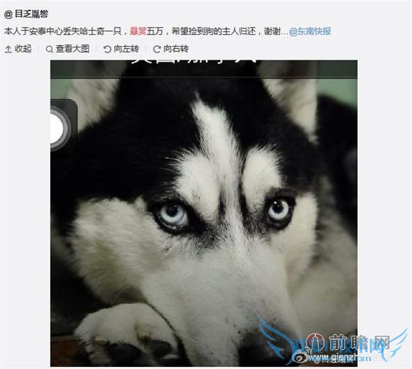 ŮӷԲѰʧȮ˭ҵҵĹ Ը