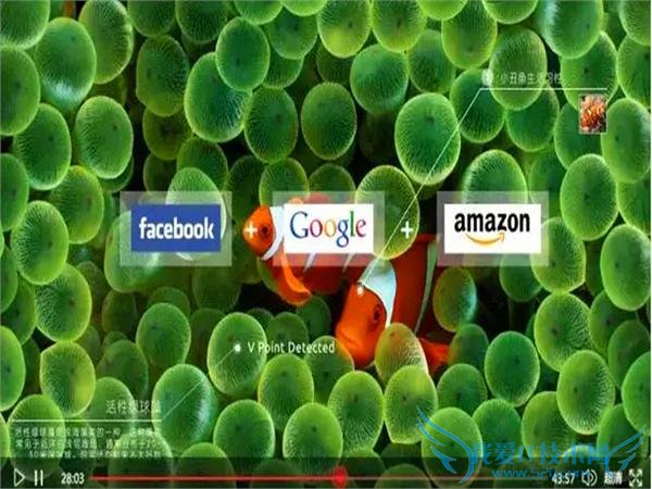 22 ꣬ʹֵֹ 6 ڣ߸Ƶ͹ҵ