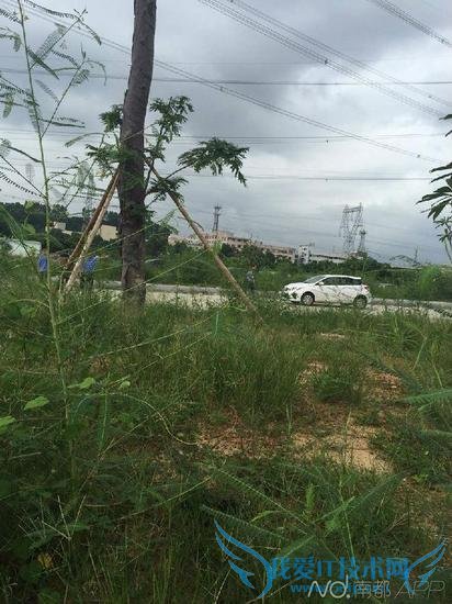 男子抢劫专车司机拖行致死后 深圳又一专车司机遇害