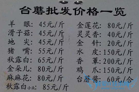 十一出游糟心事一箩筐:拍个照要价 1300 女友被扣抵债