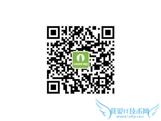 全球首批试管小狗诞生 同时出生却各有爹妈