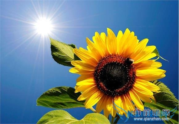 “ֱɱ”Ϊµ籩бҪ