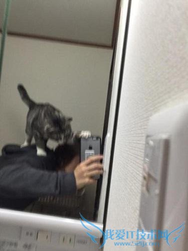 Сè͵ֻߺ졡Ƕȵλȷ