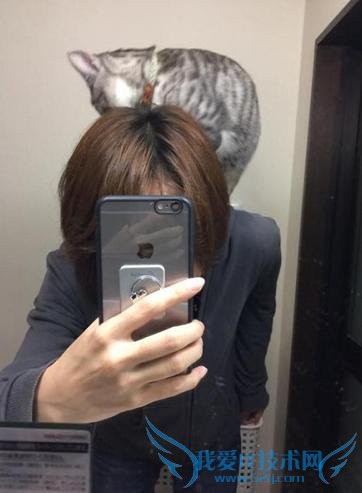 Сè͵ֻߺ졡Ƕȵλȷ