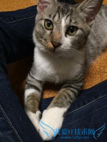 Сè͵ֻߺ졡Ƕȵλȷ