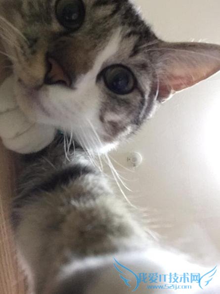 Сè͵ֻߺ졡Ƕȵλȷ