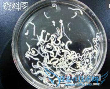 11 ͯտڳ 7 ׳ ԻǸϽѹѹ