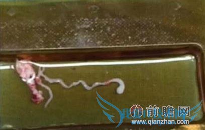 11 ͯտڳ 7 ׳ ԻǸϽѹѹ