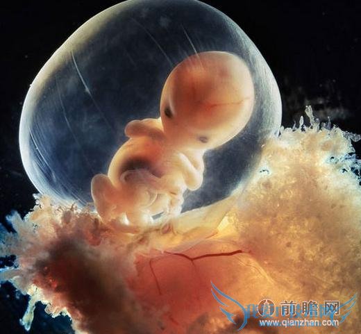 美女遗体取精为亡夫生子:我还没出生 我爸就死了