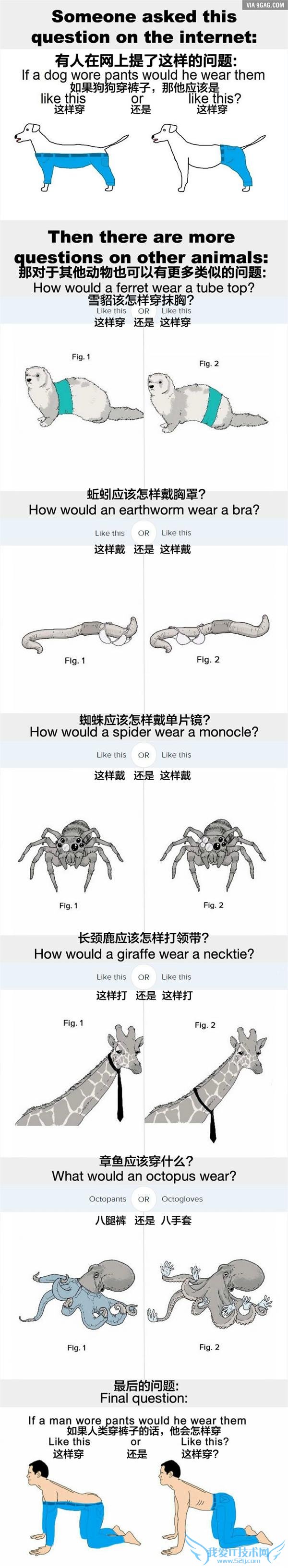 ݽź֪΢@ȴ׻ ϣڽǰ׽ȹӵһڹ罻˼ۣӣӦȵģȵ?֮󻹳棺ѩô֣¹㴩ӻǴ׵……