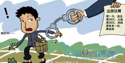 男子抓 87 只癞蛤蟆被判刑 3 个月 儿时逮过蛤蟆君的快自首吧