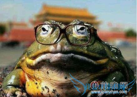 男子抓 87 只癞蛤蟆被判刑 3 个月 儿时逮过蛤蟆君的快自首吧