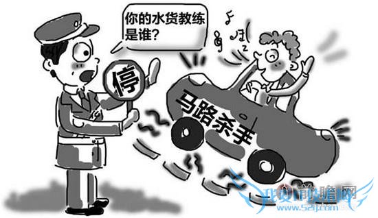 马路杀手女司机